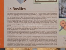 Yacimiento de Villaricos 2012